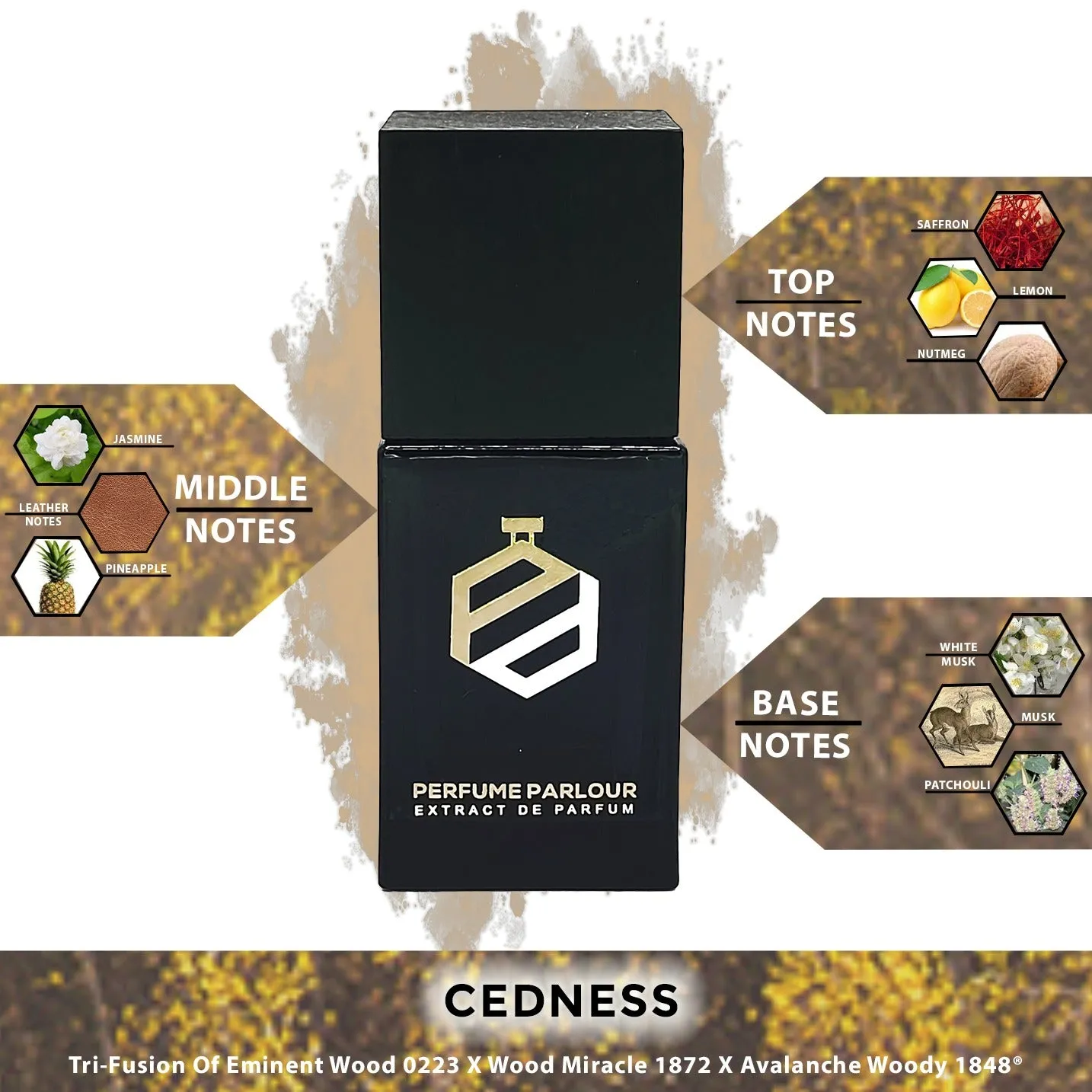 Cedness - 2019
