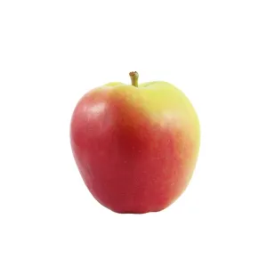 Certified Organic Sunrise Apples Bag (3lb • 1.36kg)