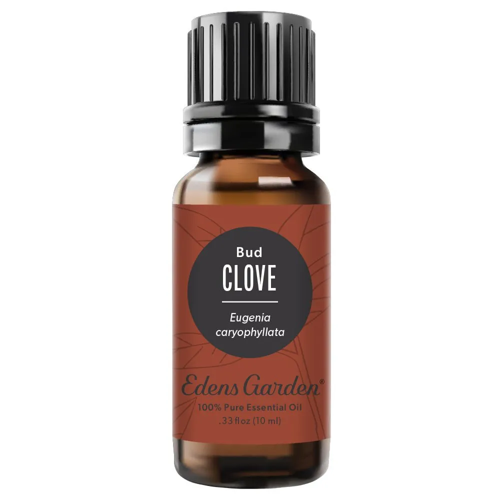 Clove- Bud Essential Oil