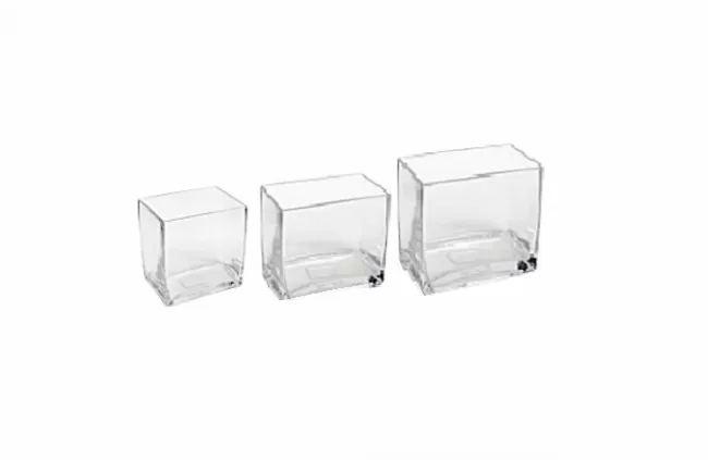 Elegant Rectangle Glass Vase
