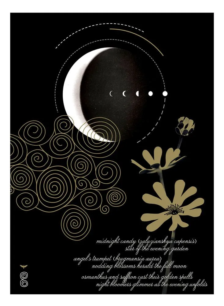 Evening Edged in Gold Eau de Parfum