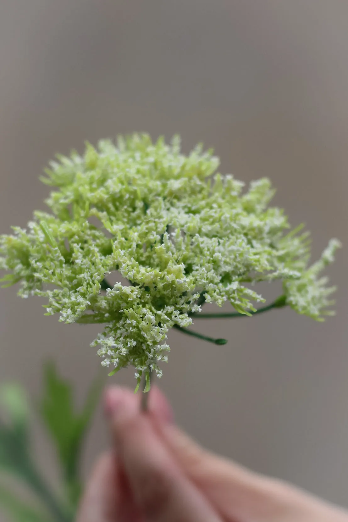 Faux Queen Anne's Lace Spray