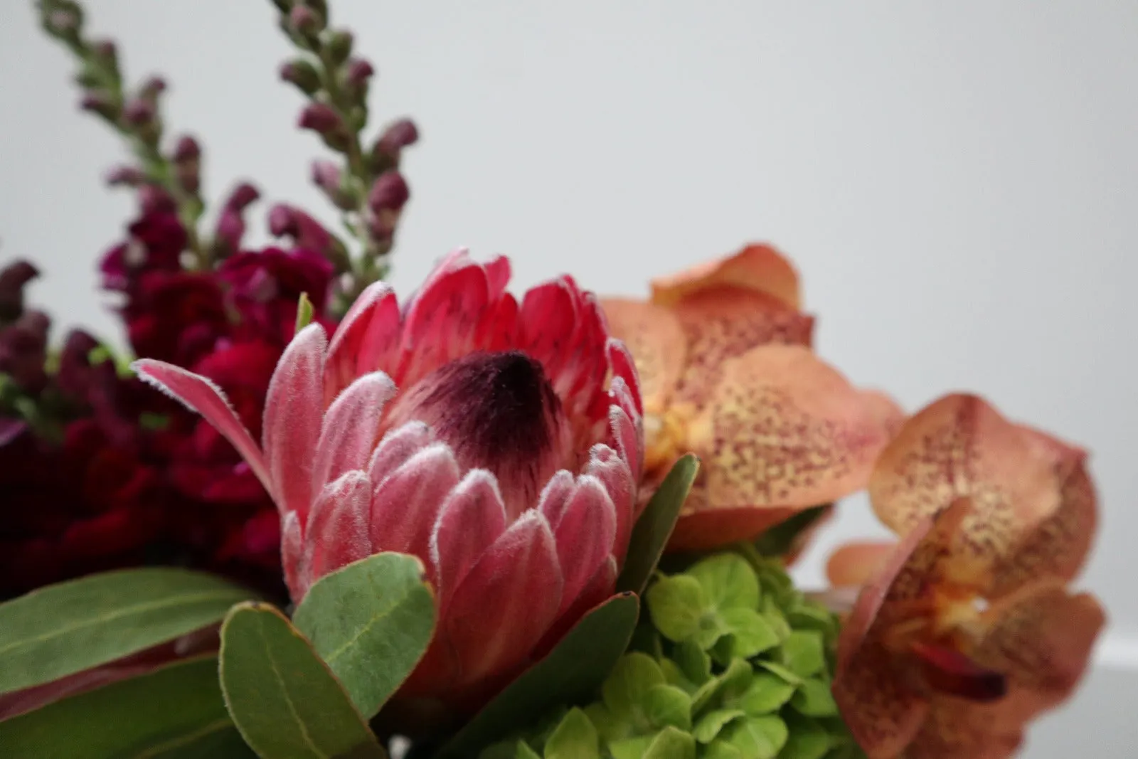 Stacy K Floral | Organic Wonder
