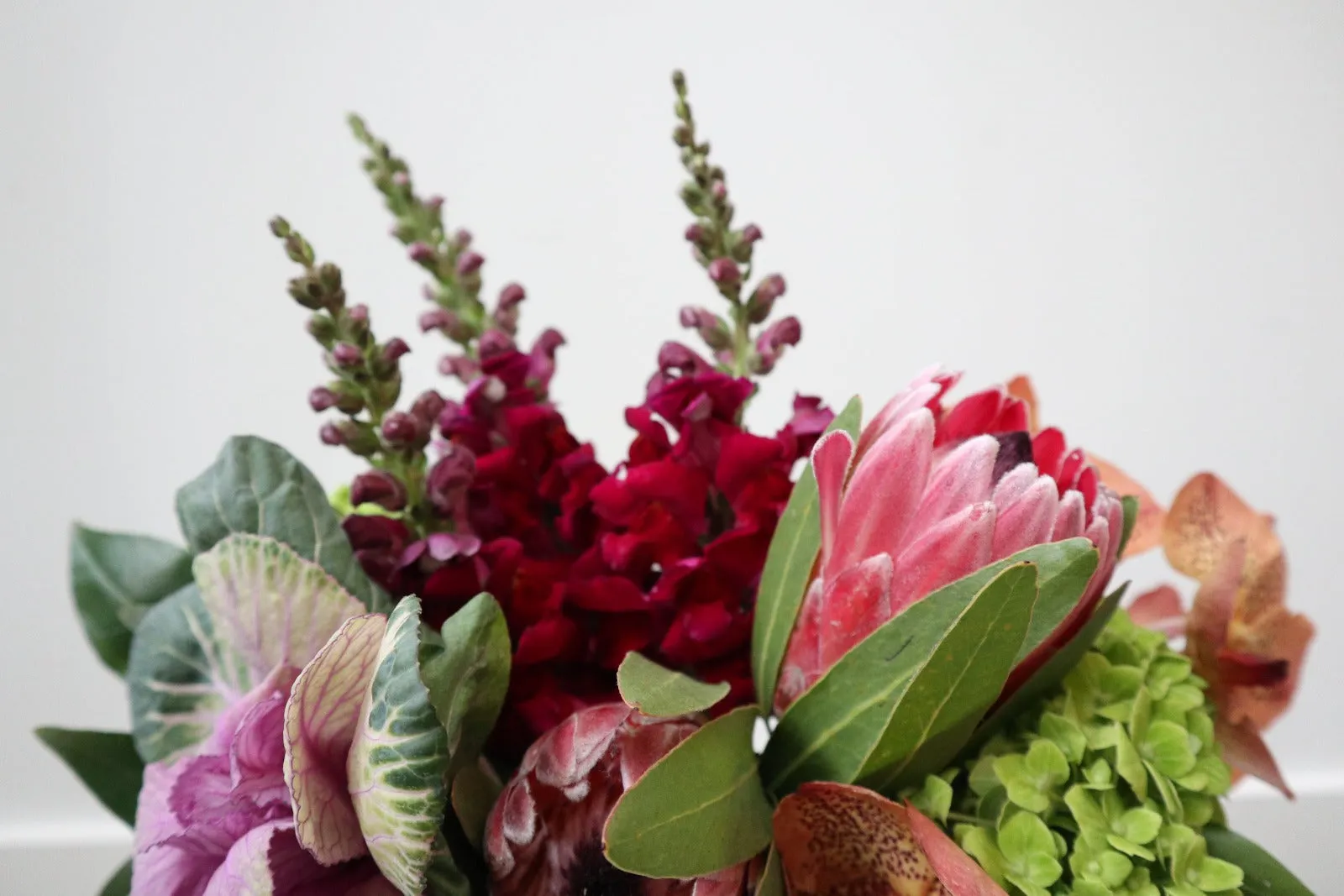 Stacy K Floral | Organic Wonder