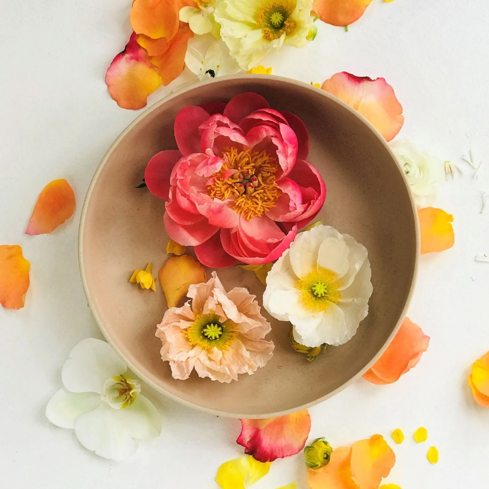 Stacy K Floral | The Luxe Bouquet Floral Subscription