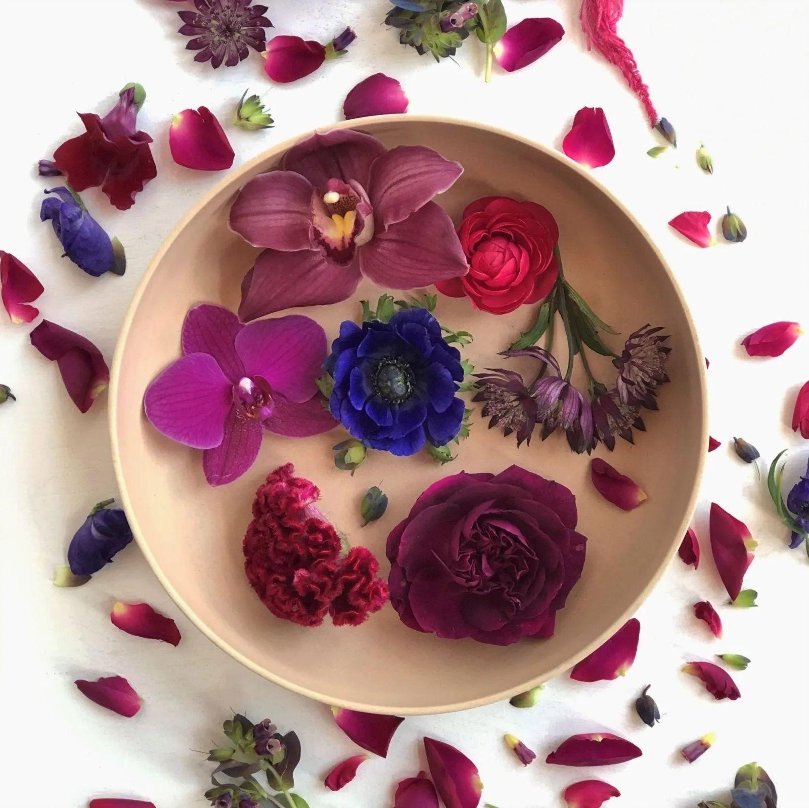 Stacy K Floral | The Luxe Bouquet Floral Subscription
