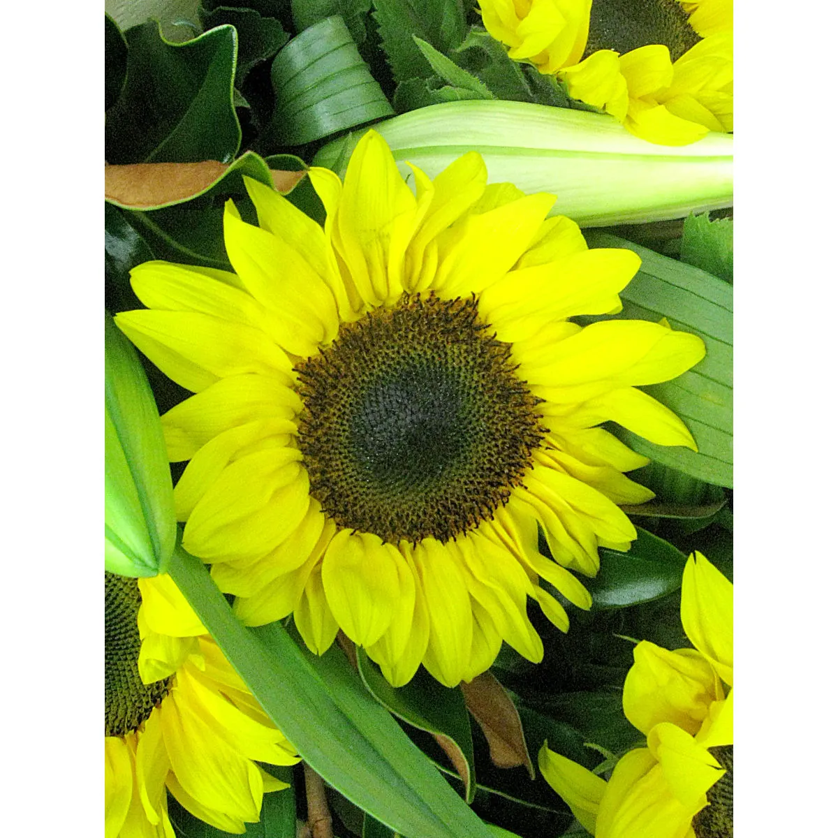 Sunflower & Lilies Bouquet